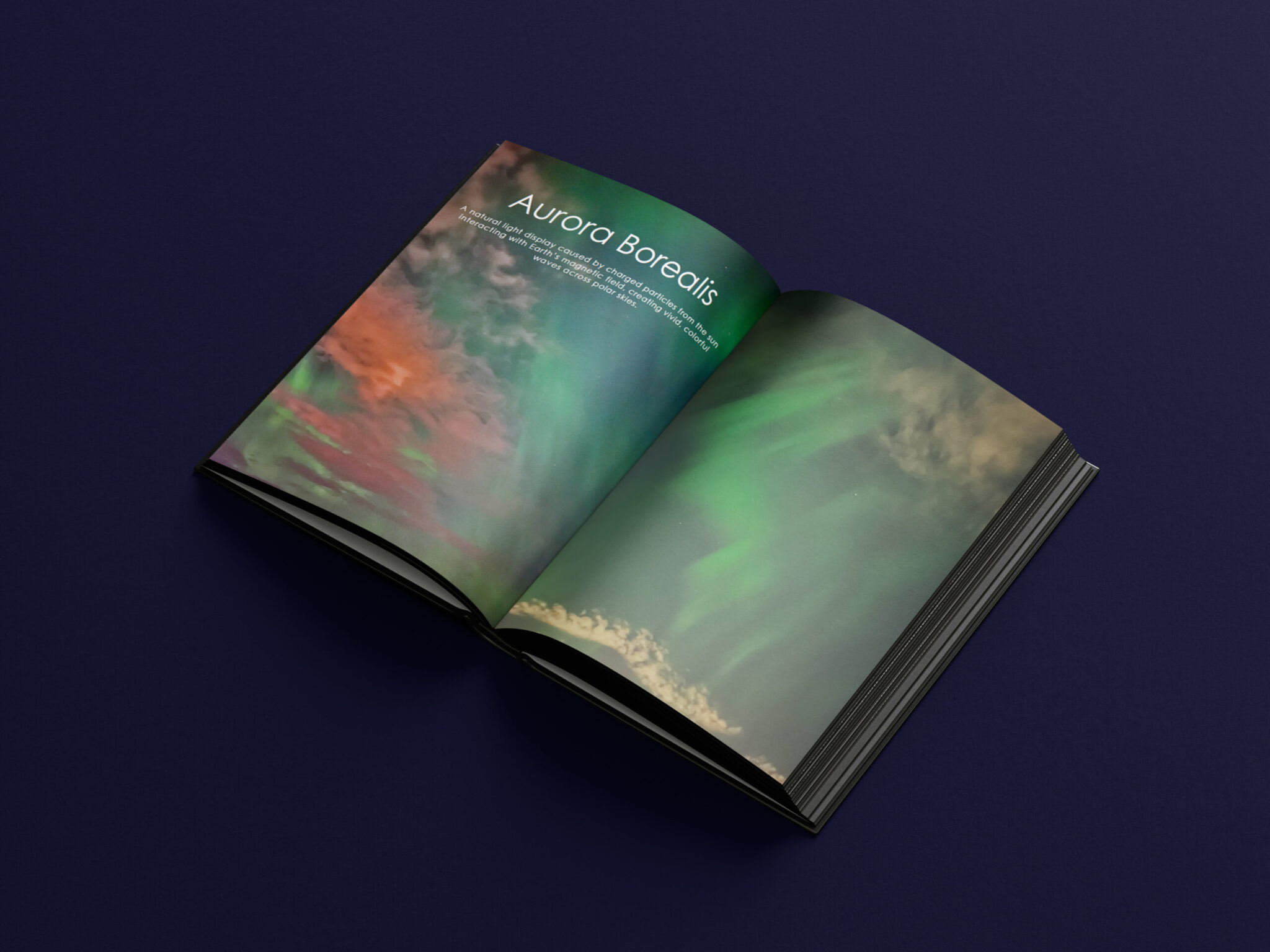 Photo album open pages mockup